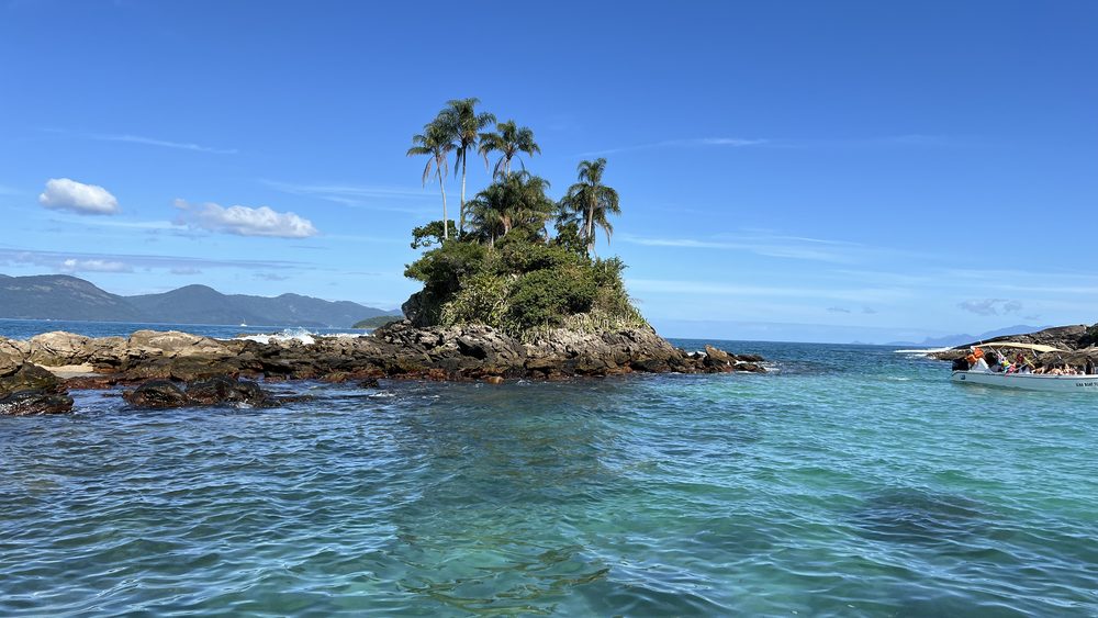 A palm-topped islet in clear blue water