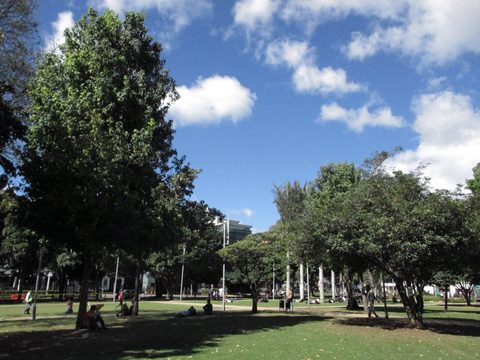 Parque de la 93 in Bogota's El Chico neighborhood under trees