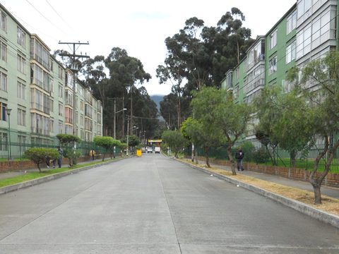 Tree-lined residential street with apartment blocks on Carrera 13 in Bogota