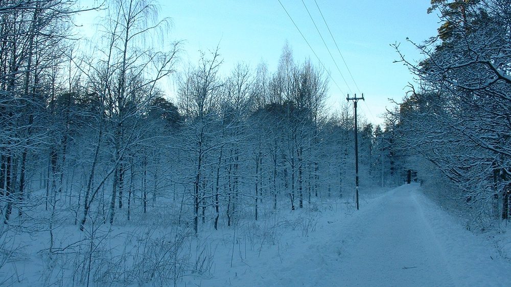 Snowy winter road through the woods on Ruissalo island in Turku