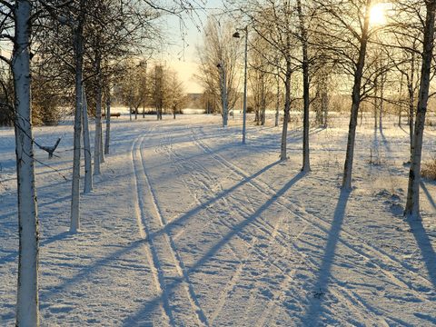 Snowy park trail with long shadows in Arabianranta, Helsinki, in January
