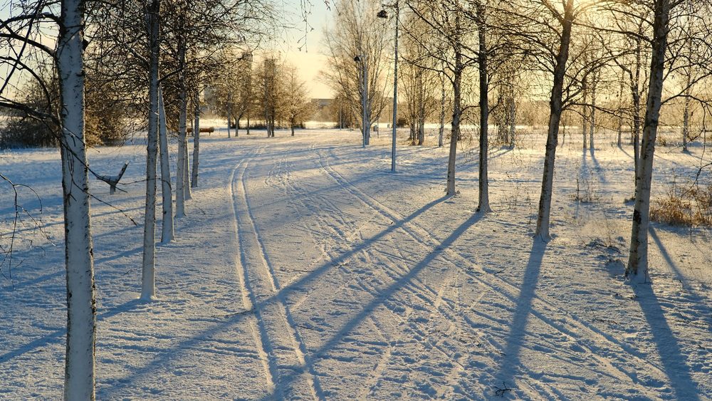 Snowy park trail with long shadows in Arabianranta, Helsinki, in January