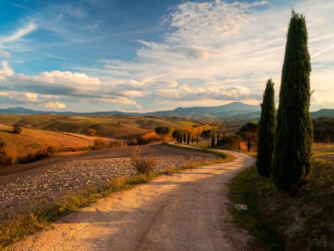 Cypress trees along a country road through the autumn hills of Val d'Orcia in Tuscany