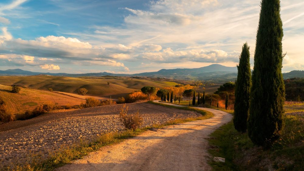 Cypress trees along a country road through the autumn hills of Val d'Orcia in Tuscany
