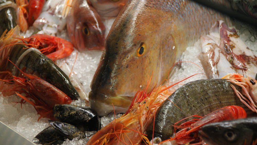 Fresh fish and prawns on ice at the Is-Suq market in Valletta