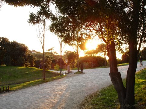 Path through Parque da Cidade in Porto at sunset