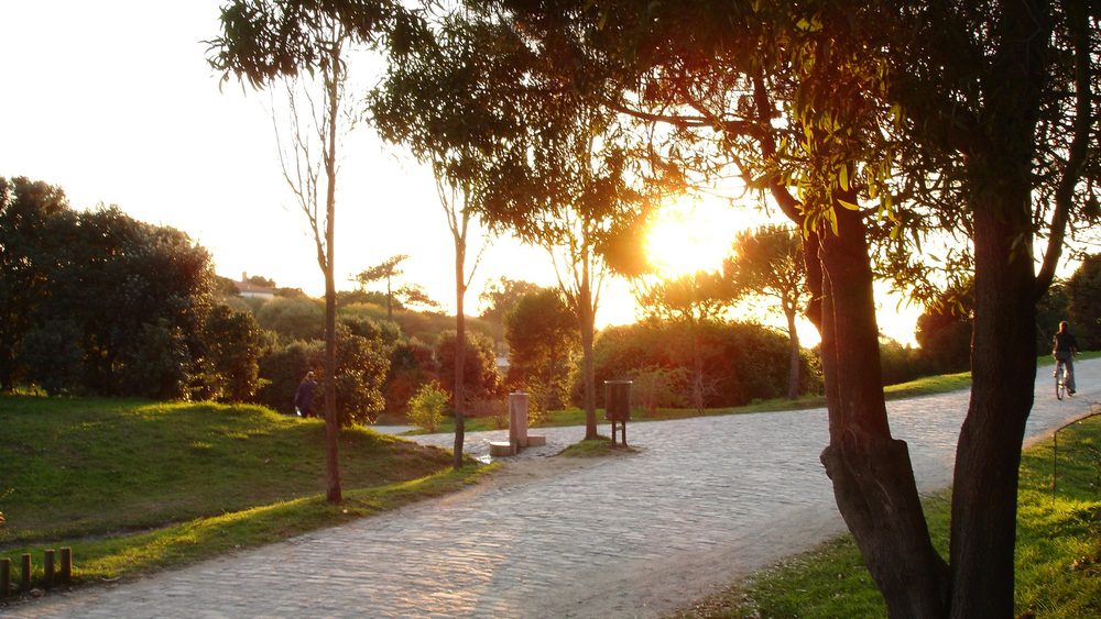 Path through Parque da Cidade in Porto at sunset