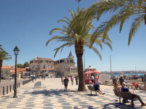 Palm-lined waterfront promenade in Cascais