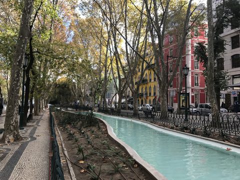 Avenida da Liberdade in Lisbon lined with trees and shops