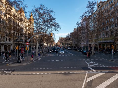 Tree-lined street in Barcelona's Eixample district